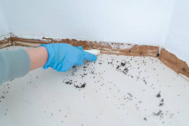 Best Pest Prevention Services  in New Bedford, PA